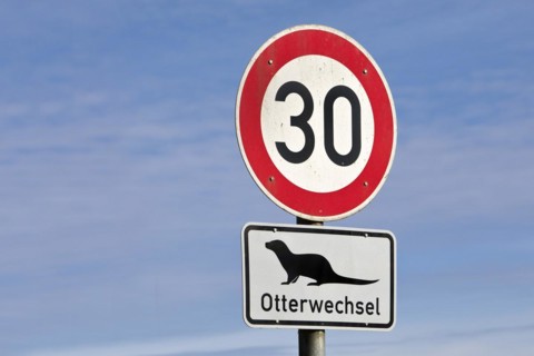 Speed limit 30 traffic sign and otter change