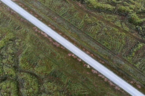 Ring Road 1 through moss-covered lava fields on the south coast of Iceland