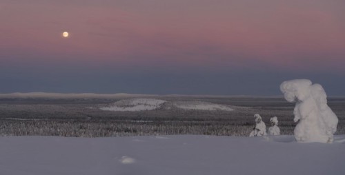 Full moon with day-night boundary and snow-covered trees over Pyhae-Luosto National Park