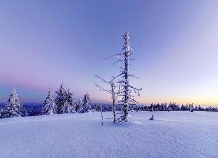 Winter landscape in the Black Forest