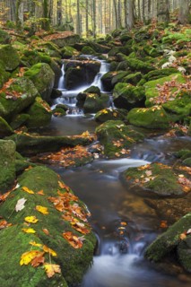 Waterfall on the Kleine Ohe