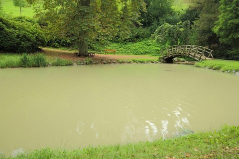 Pond with wooden bridge and arched bridge in the park