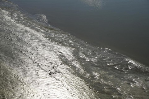 Mudflats