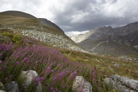 Col du Galibier