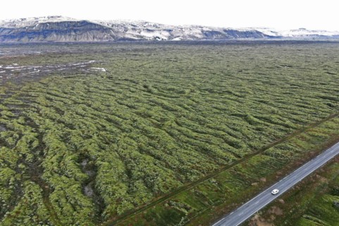 Ring Road 1 through moss-covered lava fields on the south coast of Iceland