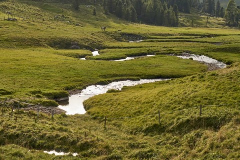 The Kremsbach in Schoenfeld