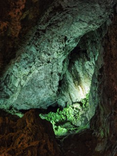Illuminated walls coloured green by algae in limestone cave