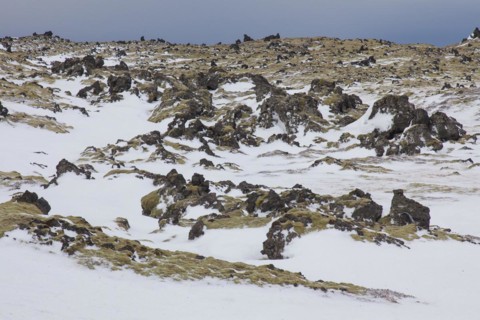 Lava field covered in snow at the Snaefellsjoekull National Park in winter on the Snaefellsnes peninsula in Iceland