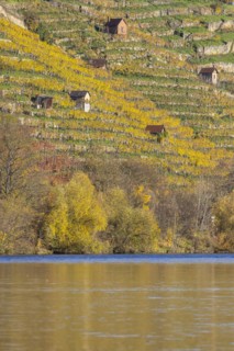 Vineyard cottage in the vineyards above the Neckar