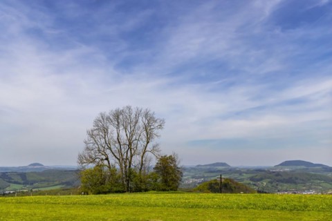 Spring on the Kuchalb