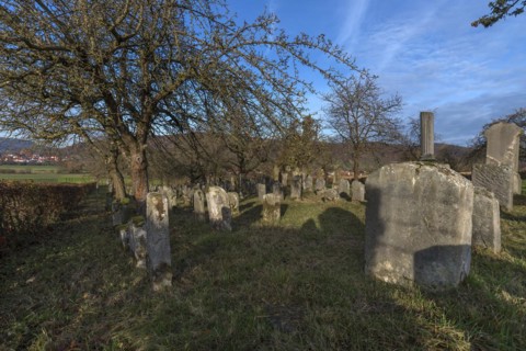 Historic Jewish cemetery