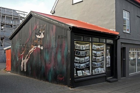 Photo gallery with cat graffiti on the outside wall