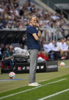 Coach Pellegrino Matarazzo TSG 1899 Hoffenheim on the sidelines