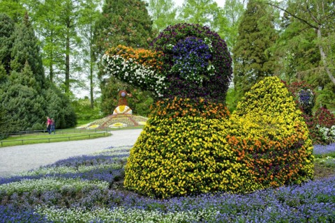 Duck and peacock