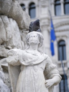 Dove on the head of a figure on the fountain in Piazza dell'Unita d'Italia