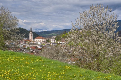 Castelrotto with blossoming trees
