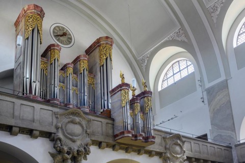 The organ