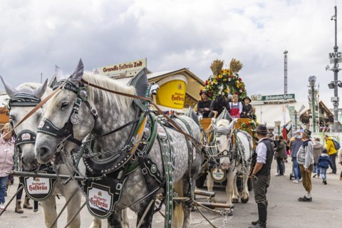 Brewery team of the Stuttgart breweries Swabia Braeu
