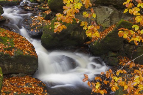Waterfalls on the Grosse Ohe river which flows through the Steinklamm valley