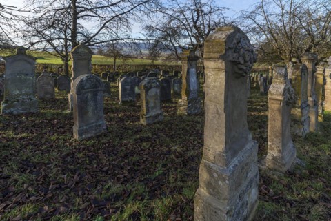 Historic Jewish cemetery
