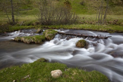 The Kremsbach in Schoenfeld