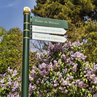 Signs in front of lilac bushes