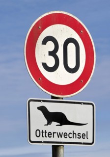 Speed limit 30 traffic sign and otter change