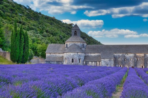 Cistercian Abbey Abbaye Notre-Dame de Senanque