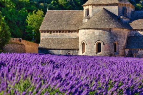 Cistercian Abbey Abbaye Notre-Dame de Senanque