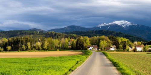 Road to the Thann castle ruins