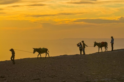 Caravan with donkey in twilight