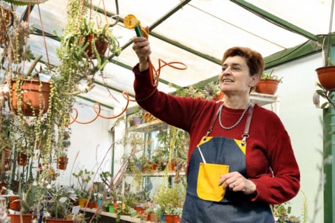 Older woman with short reddish hair waters the plants in her greenhouse. Local business