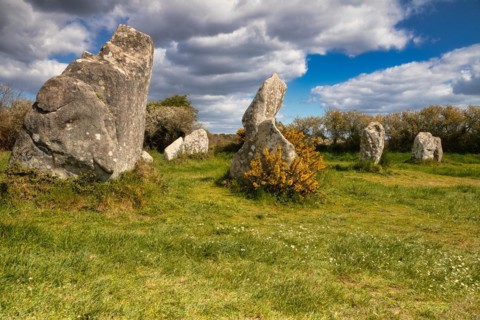 Megalithic stone rows from Kerzerho