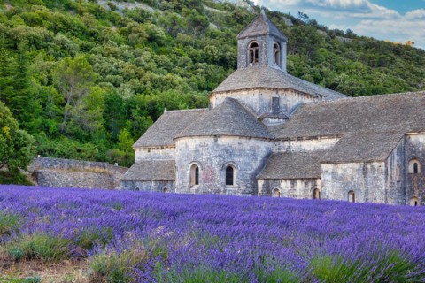 Cistercian Abbey Abbaye Notre-Dame de Senanque