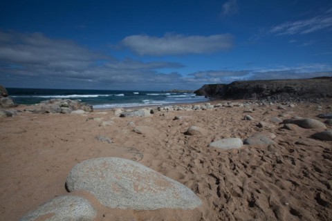 Wild Coast