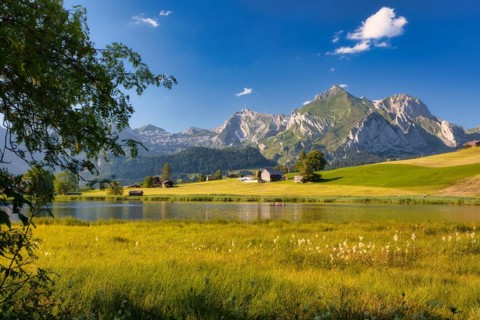 View of the Alpstein with Saentis