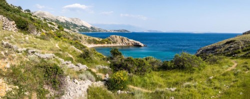Rugged coastline