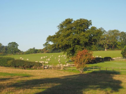 View of Tanworth in Arden