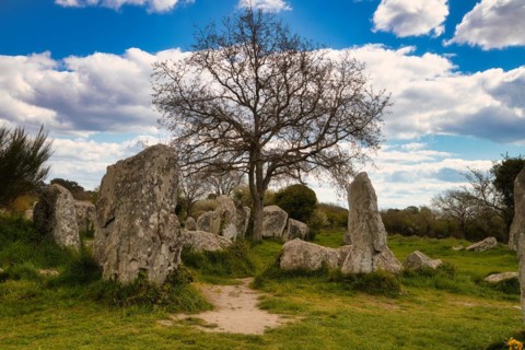 Megalithic stone rows from Kerzerho