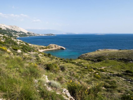 Rugged coastline