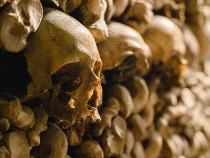 Human skulls and bones