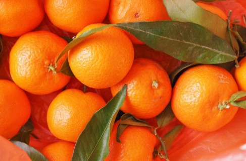 Tangerine fruit food