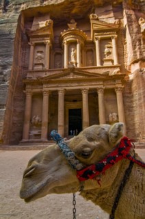 Camel in front of tomb in the rock