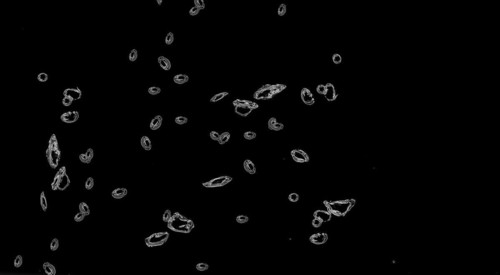 Cropped water drops raindrops rainy mist small droplets drops on transparent translucent background