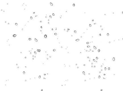 Cropped water drops raindrops rainy mist small droplets drops on transparent translucent background