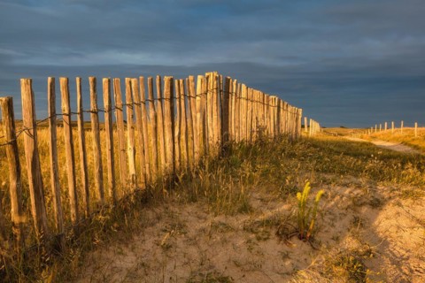 Evening atmosphere on the beach