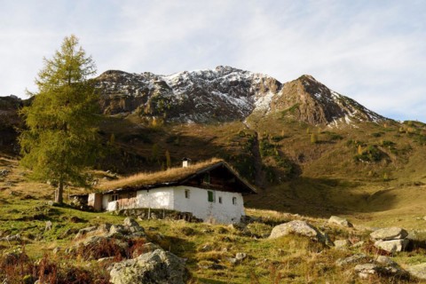 Traditional alpine hut with grass roof below the summit of Wildseeloder