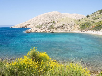 Rugged coastline