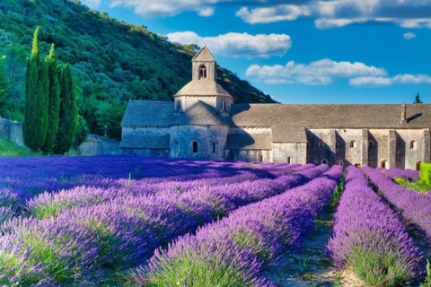 Cistercian Abbey Abbaye Notre-Dame de Senanque