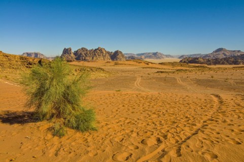 Mountainlandscape and desert in Wadi Rum
